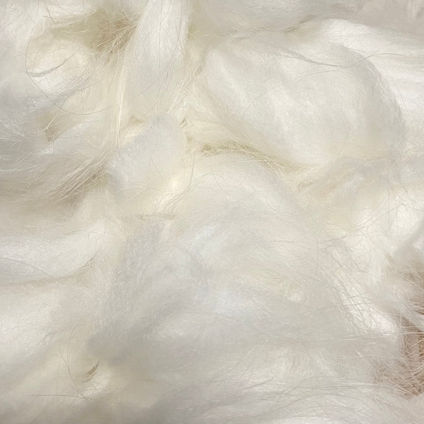 Angora Wool