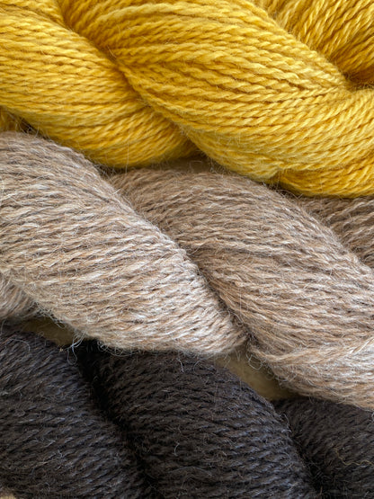 stitch/weave/spin-a-long with Jill