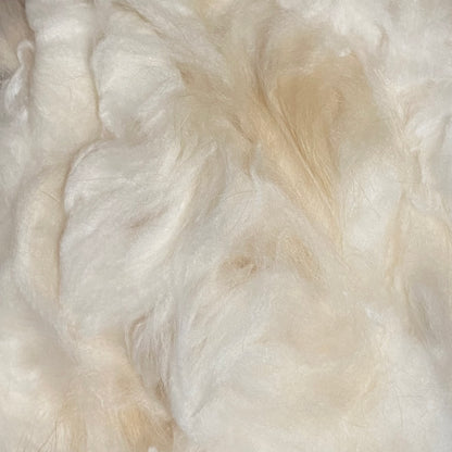 Angora Wool