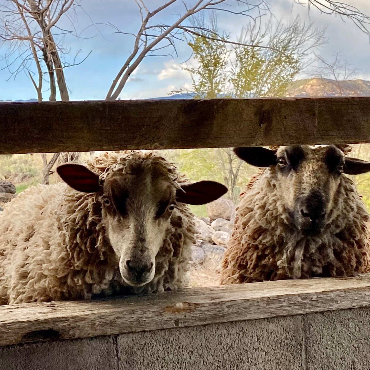 Unwind Open Studio *