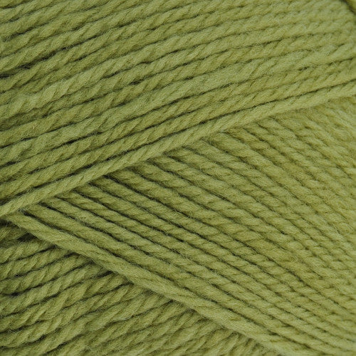 Nature Spun Worsted