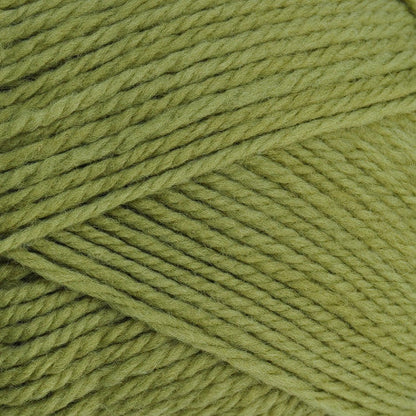 Nature Spun Worsted