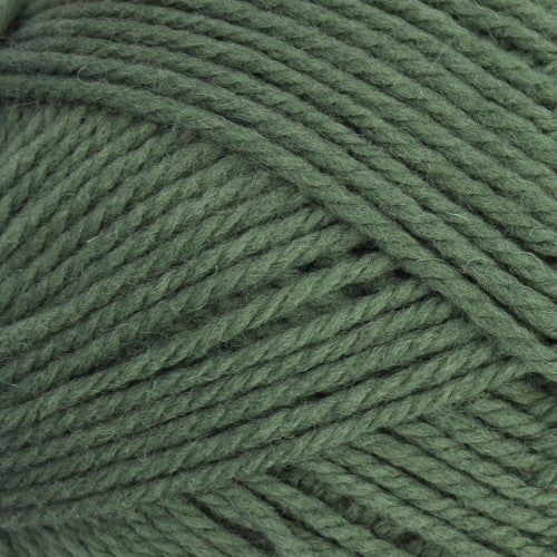 Nature Spun Worsted